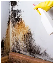 North Palm Beach Restoration Company North Palm Beach, FL 561-354-9986 - sb-services-03