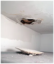 North Palm Beach Restoration Company North Palm Beach, FL 561-354-9986 - sb-services-04