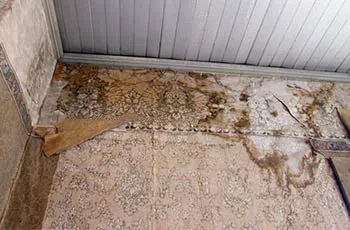 North Palm Beach Restoration Company North Palm Beach, FL 561-354-9986 North Palm Beach Restoration Company North Palm Beach, FL 561-354-9986 - water-damage-restoration